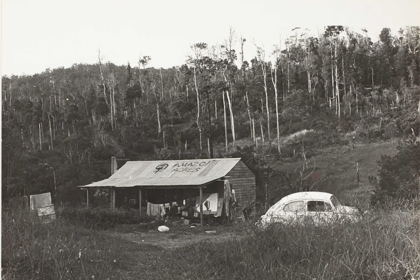 Black and white archive landscape shot of a hut in front of a forested hill.