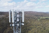 A phone tower in Nornalup