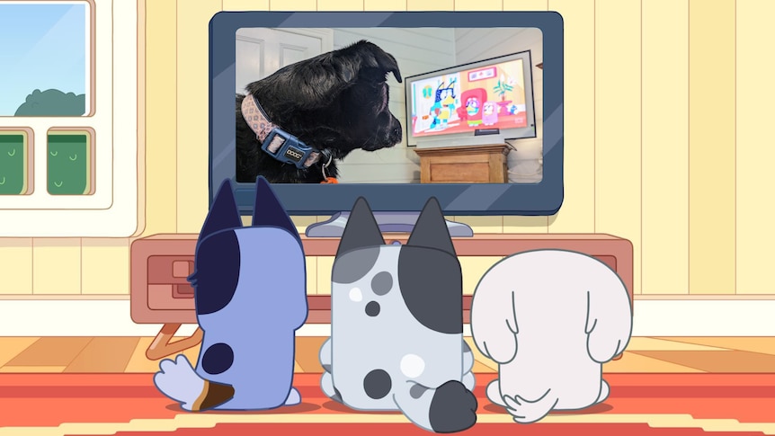 An edited screengrab of Bluey showing dogs watching tv, where the image on screen is a dog watching Bluey on TV