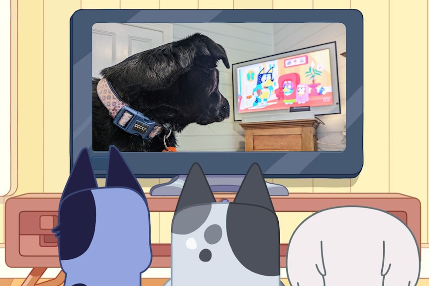 An edited screengrab of Bluey showing dogs watching tv, where the image on screen is a dog watching Bluey on TV