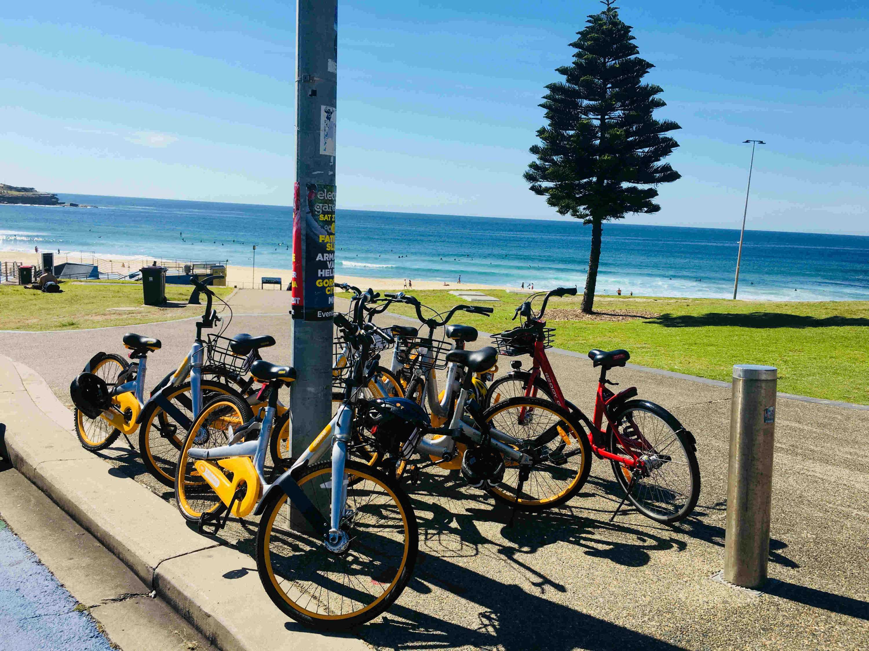 Waverley Council loses patience with bike share trash in Sydney's