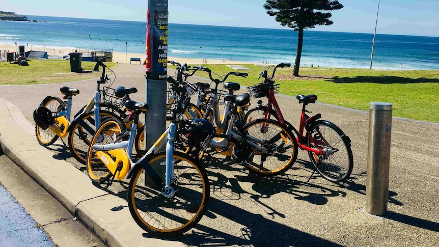 Bikes in front of the beach.