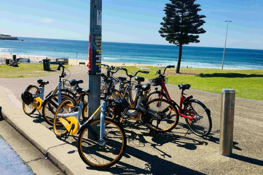 Bikes in front of the beach.