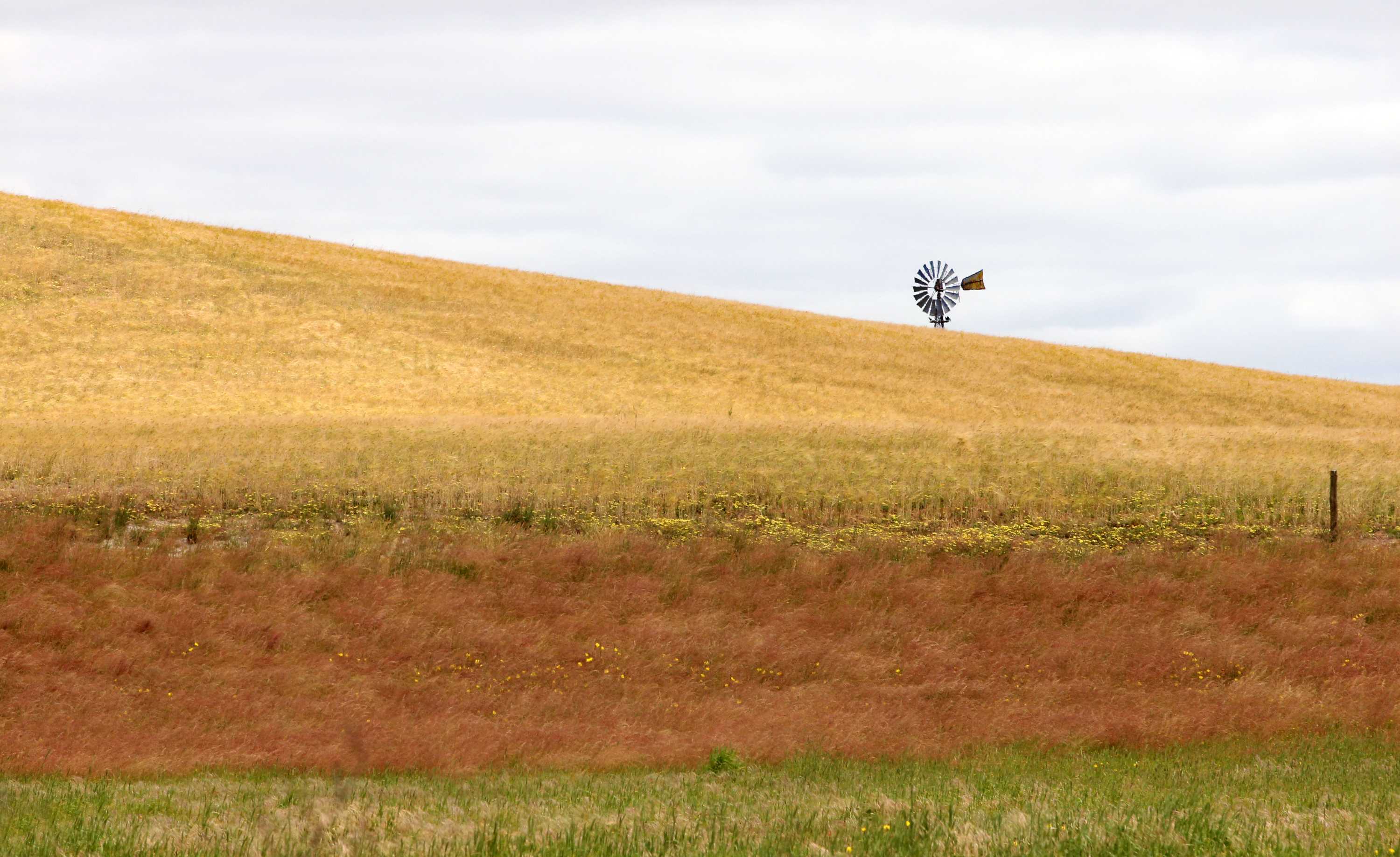 South Australia announces broad Parliamentary inquiry into agriculture ...