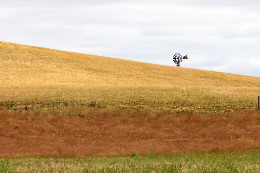 Farming land at Bordertown