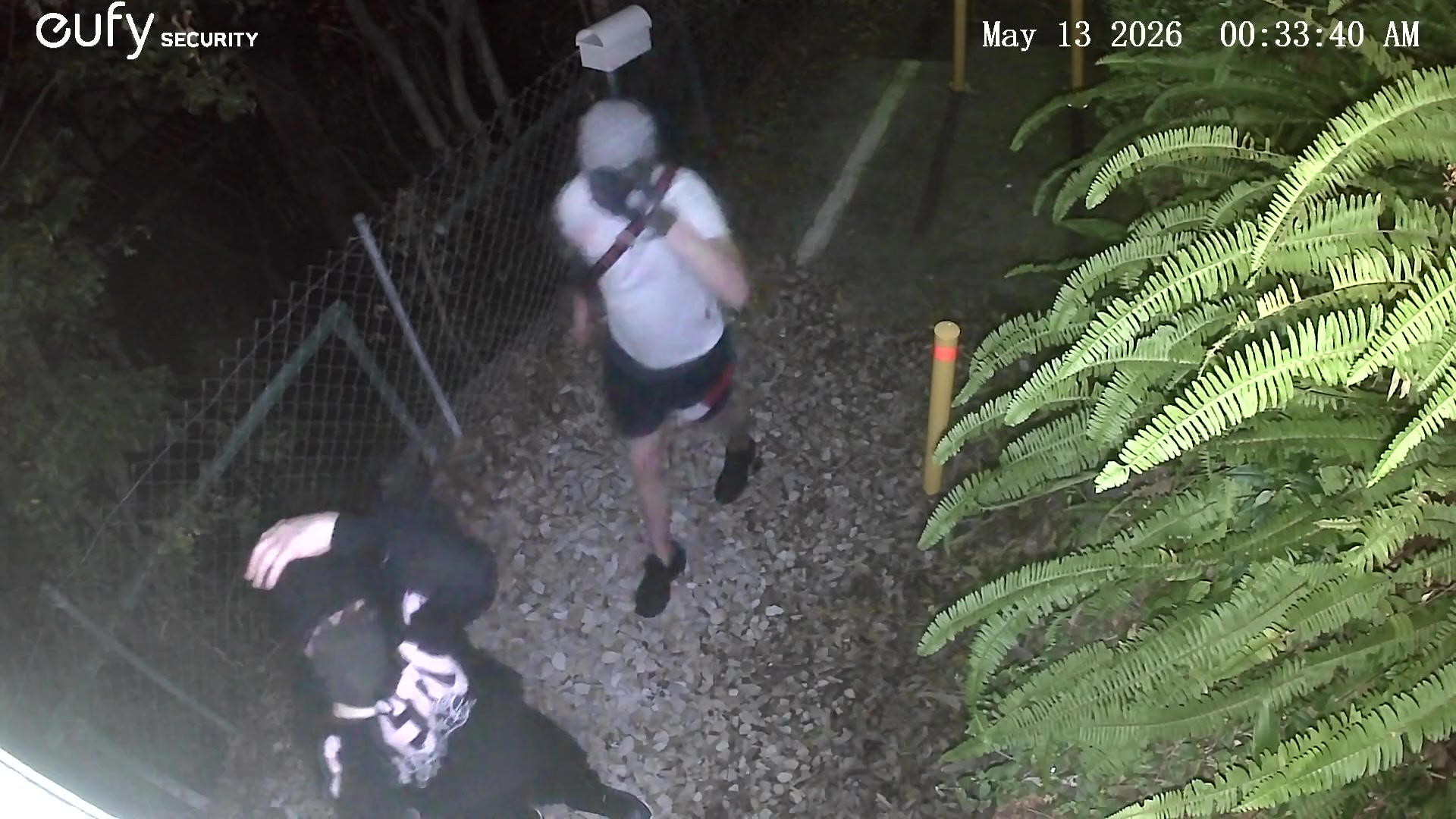 LNP says 'a long way to go to reverse' Queensland's youth crime crisis
