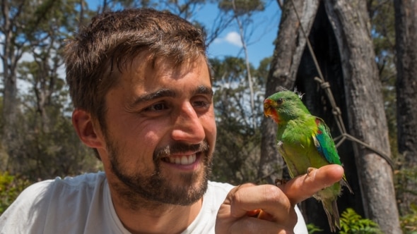 Dr Dejan Stojanovic holds a swift parrot