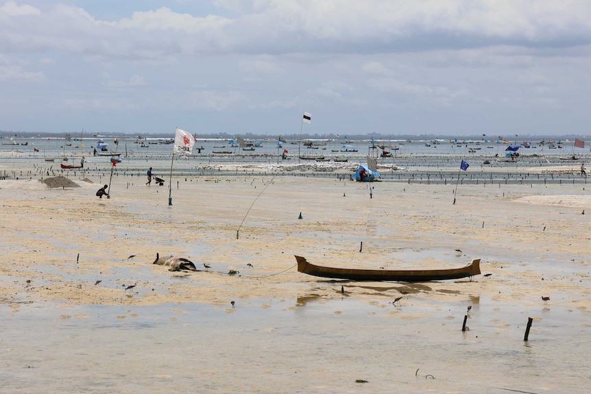 Exposed sand banks.