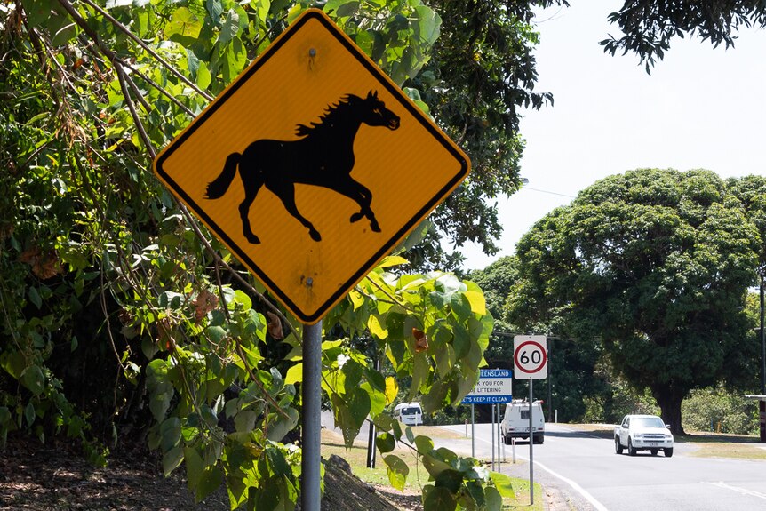 Yellow road sign featuring a horse
