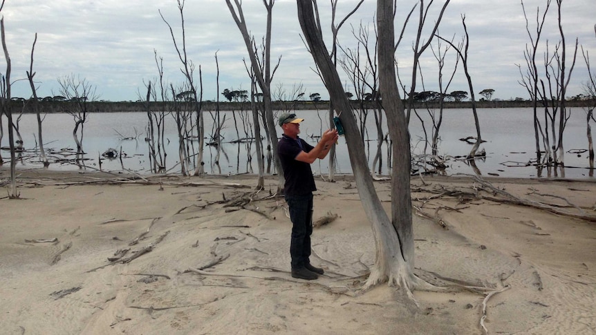 A man stands on the edge of a lake, attaching a green recording device to a large dead tree