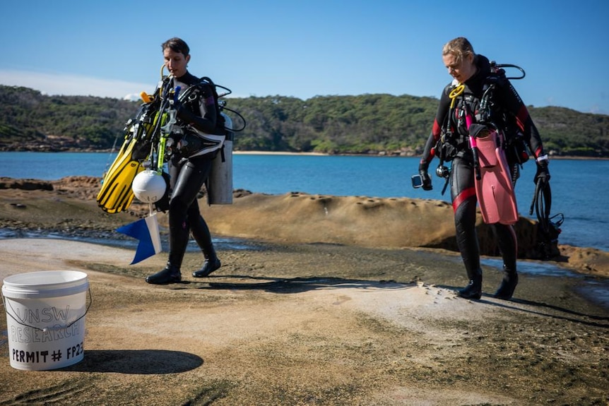 Two female divers by water