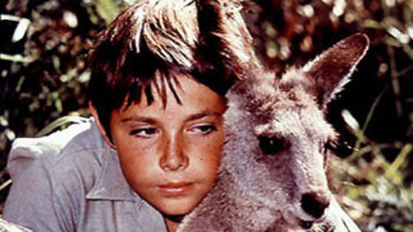 John McCallum was involved in numerous TV series, including Skippy.