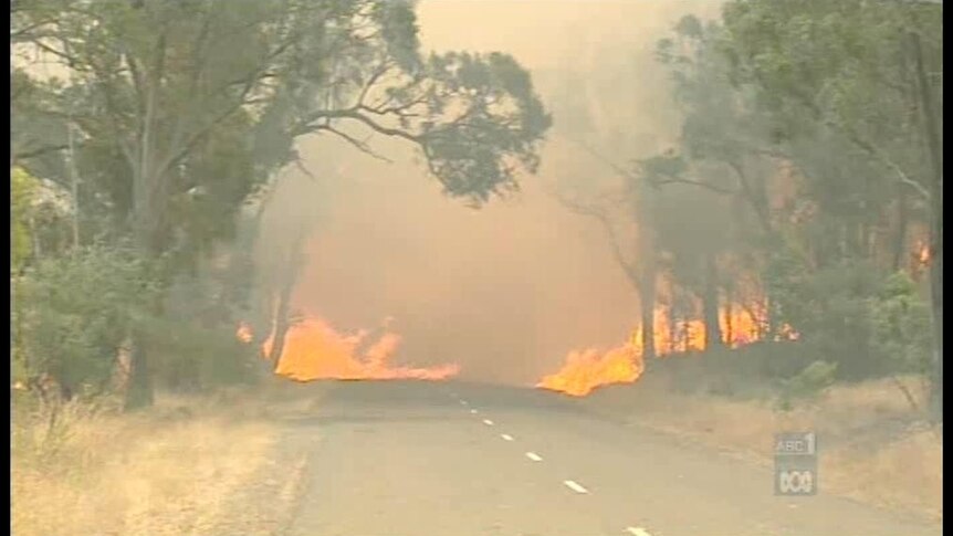 Severe bushfire weather for mid north coast