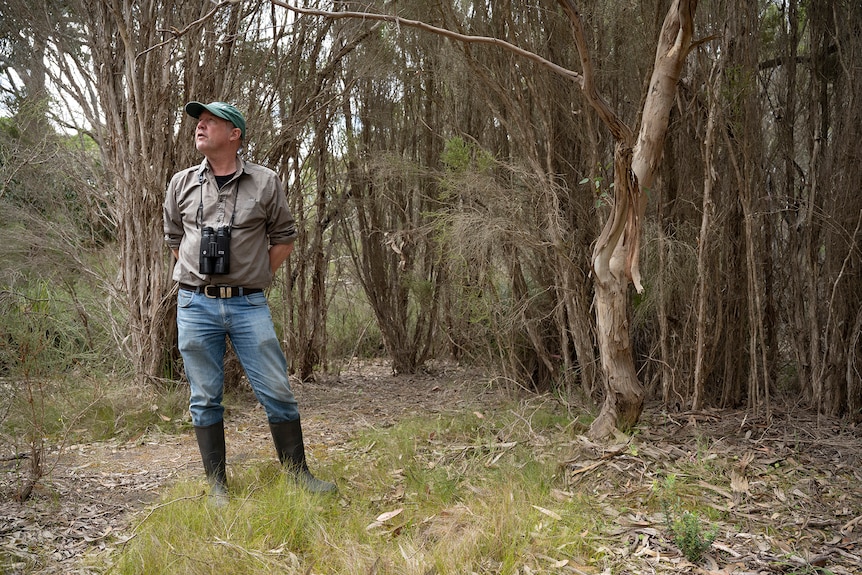 A man in a forest with binoculars and gum boots on