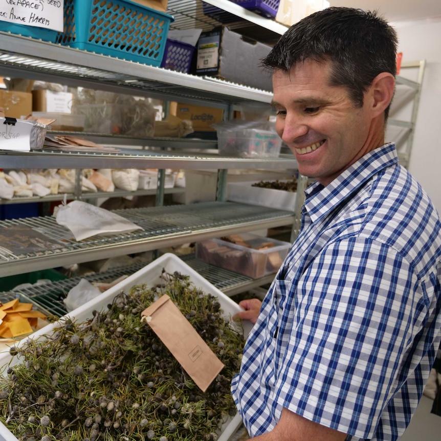 A man holding a box of plant specimens in the front of a metal storage rack.