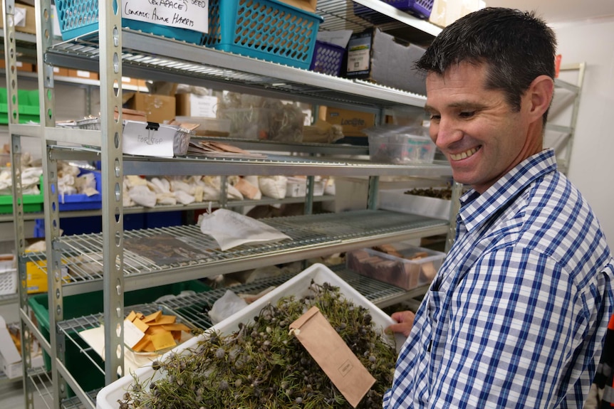 A man holding a box of plant specimens in the front of a metal storage rack.