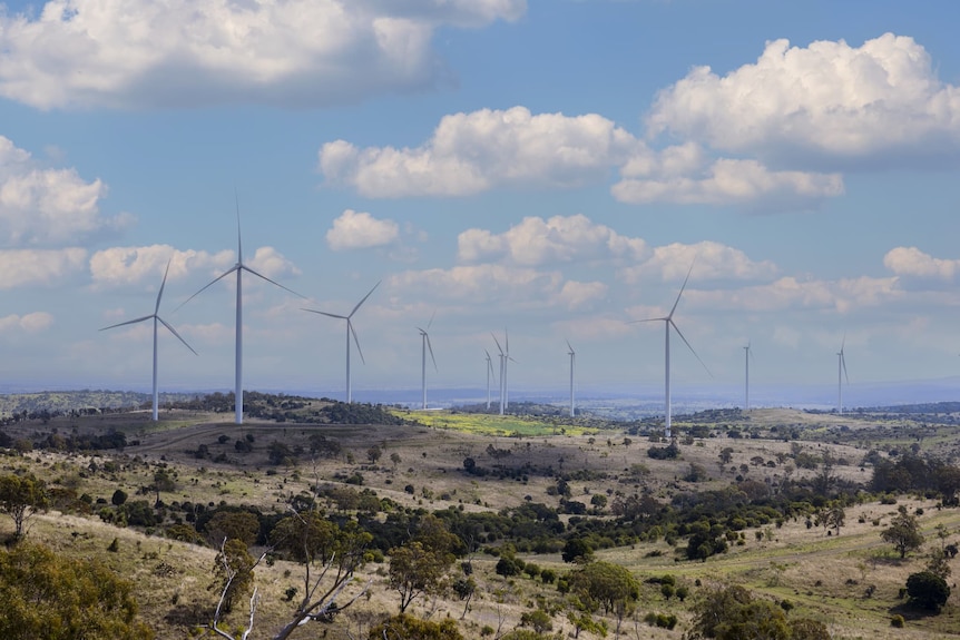 Wind turbines across land at Coopers Gap Wind Farm.