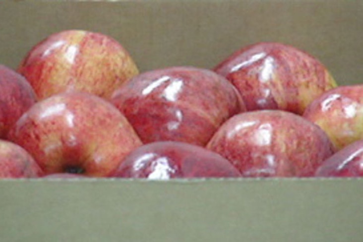 Appeal lodged over Chinese apple imports plan