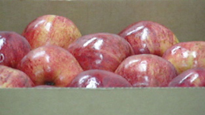 Appeal lodged over Chinese apple imports plan
