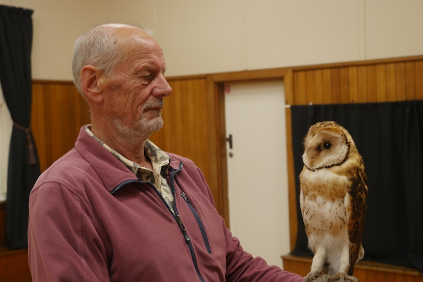 A slender, older man with a neat grey beard inspects a taxidermied masked owl.