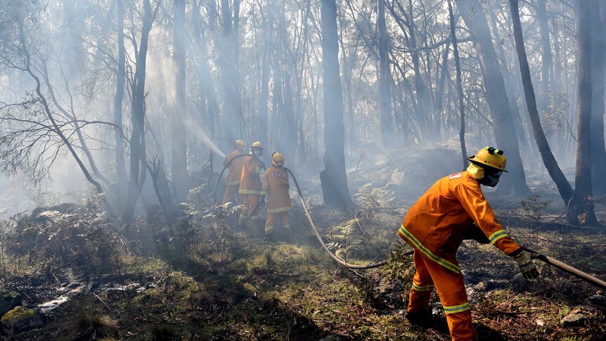 Firefighters taking on Lancefield blaze near Benloch