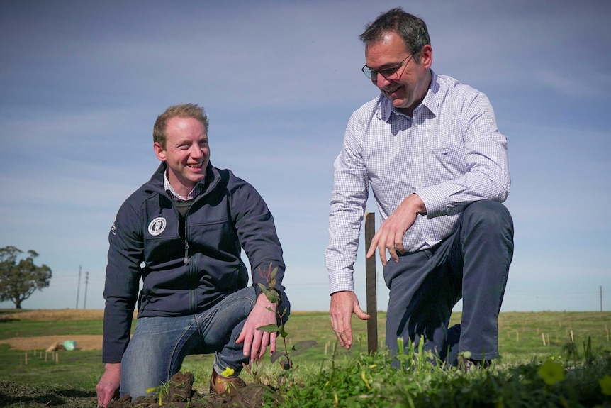 Two men genuflecting on grass