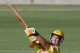 Middle-order firepower: Luke Pomersbach made 32 off 19 for WA. (file photo)