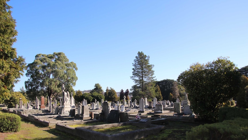 Graves surrounded by trees in Launceston's Carr Villa Memorial Park