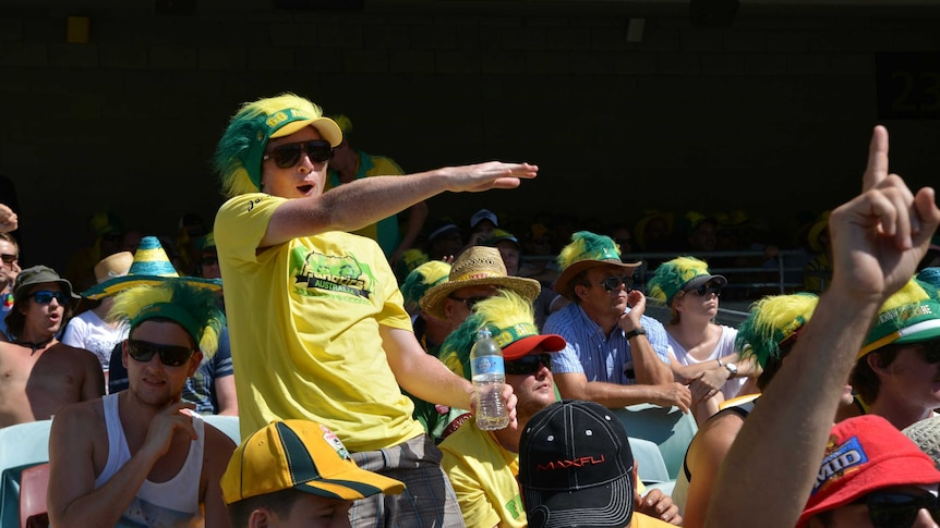 Aussie cricket fans dress in green and gold