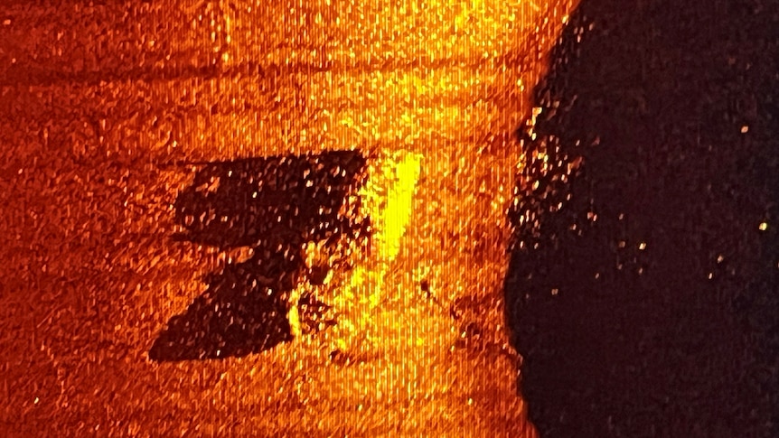 Sonar image of a shipwreck at the bottom of the sea. 