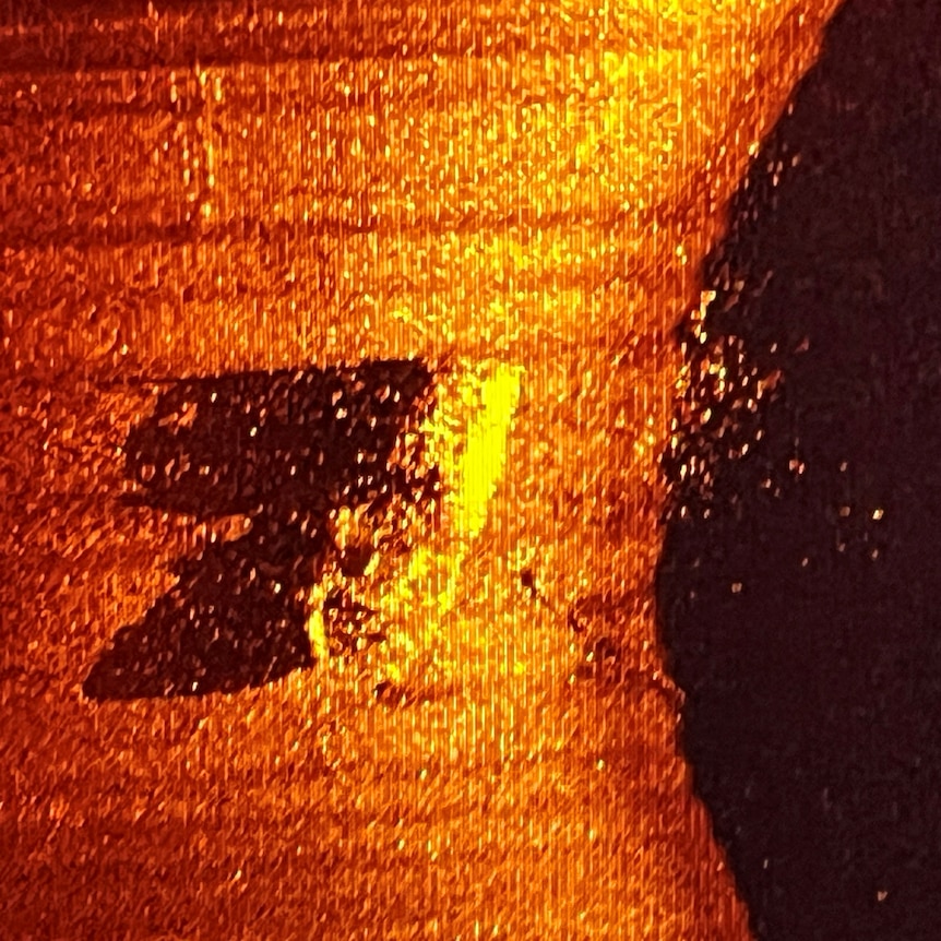 Sonar image of a shipwreck at the bottom of the sea. 