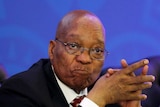 South Africa's President Jacob Zuma sits with his hands together looking pensive in front of blue background.