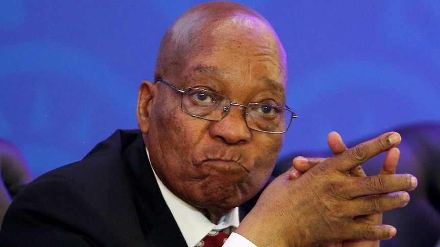 South Africa's President Jacob Zuma sits with his hands together looking pensive in front of blue background.