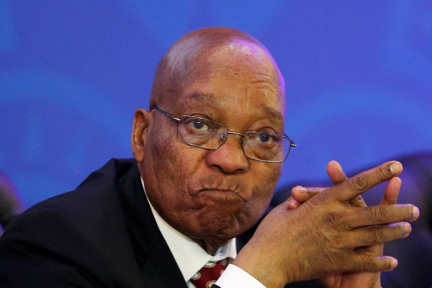 South Africa's President Jacob Zuma sits with his hands together looking pensive in front of blue background.