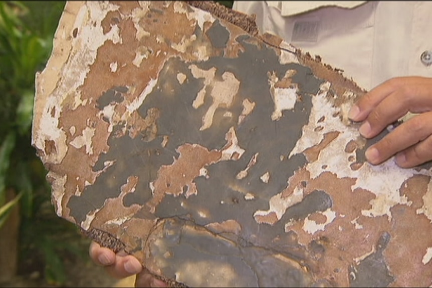 Possible debris from MH370