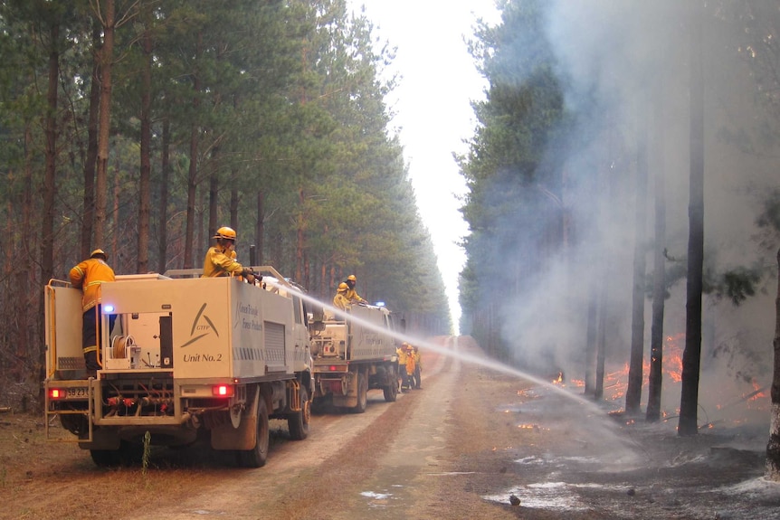 Crews at Portland-Nelson Road tackle a fire that has torn through a pine plantation and national park.