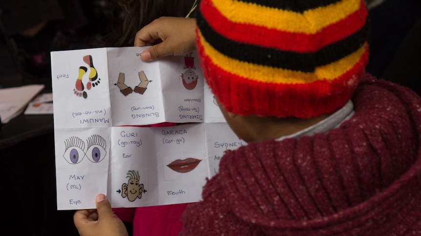 Young boy reads a booklet with Gadigal language names