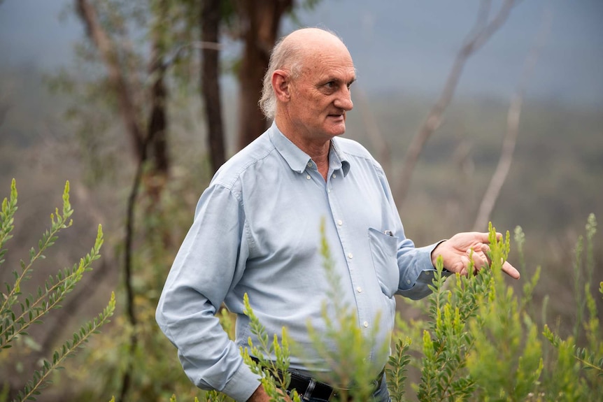 A man with grey hair stands in the wilderness.