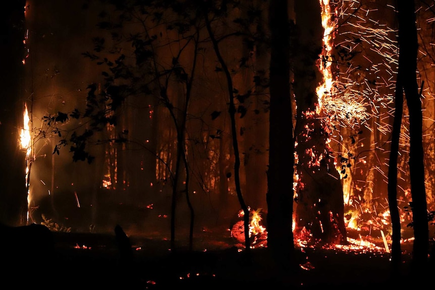 Fires burning at nighttime.