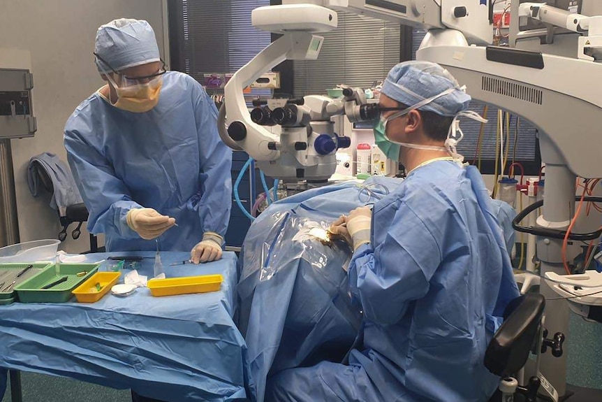 Ophthalmologist looks into a microscope while doing eye cataract surgery on a patient, with a medical assistant in theatre.