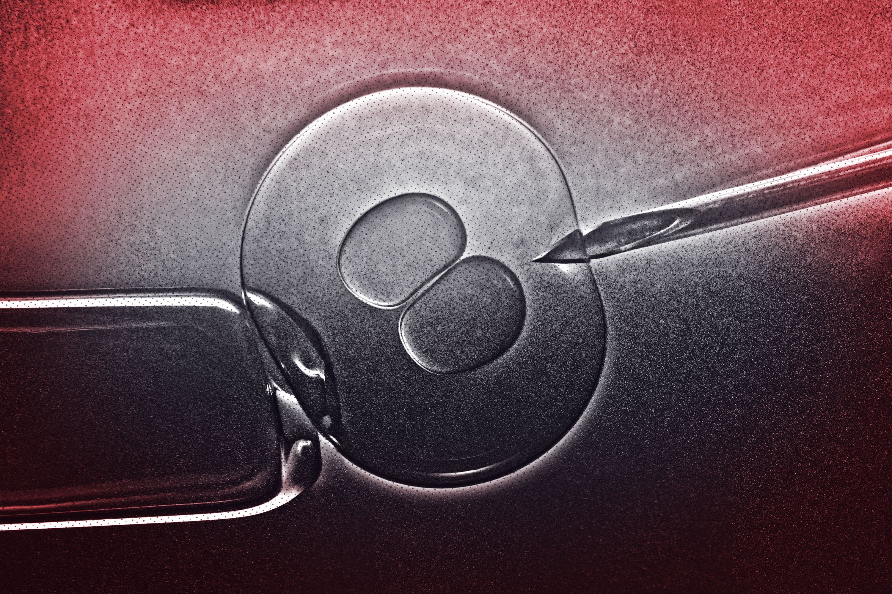 A close-up of an embryo being surgically prodded