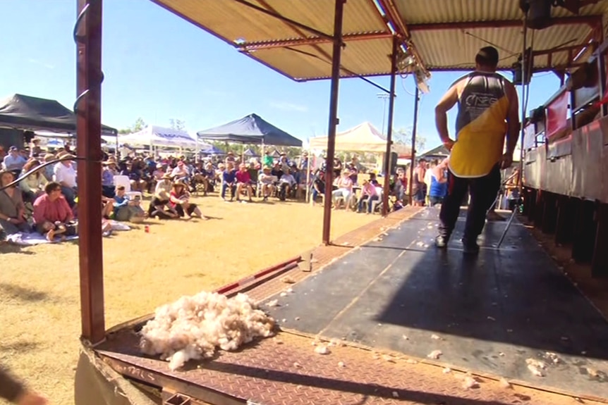 Shearers on a stage, wool piled in the foreground, with a large crowd watching