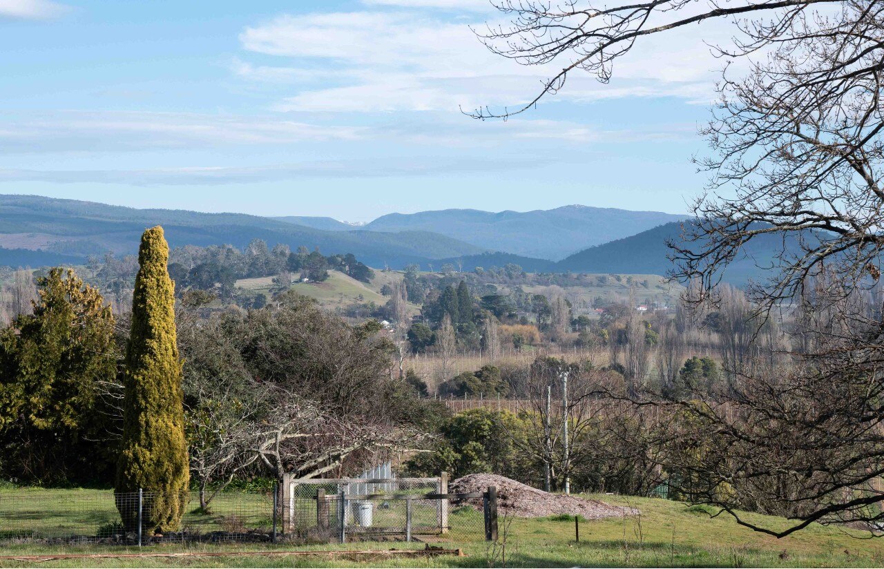 A country vista on a sunny day, green grass looking towards mountains with an old shed to the right