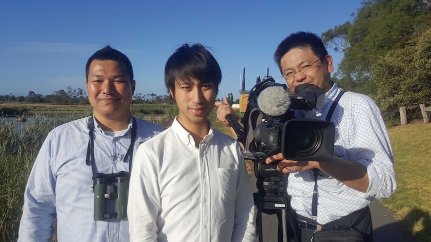 Japanese company Hokkaido Television Broadcasting has been in Gippsland, documenting the migration journey of the snipe.