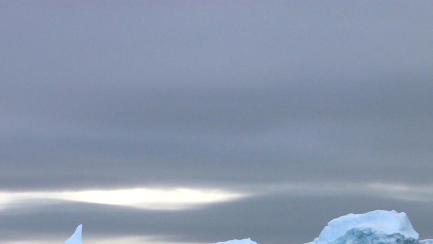 Icebergs sit in the waters surrounding Antarctica