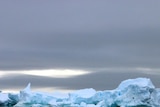 Icebergs sit in the waters surrounding Antarctica