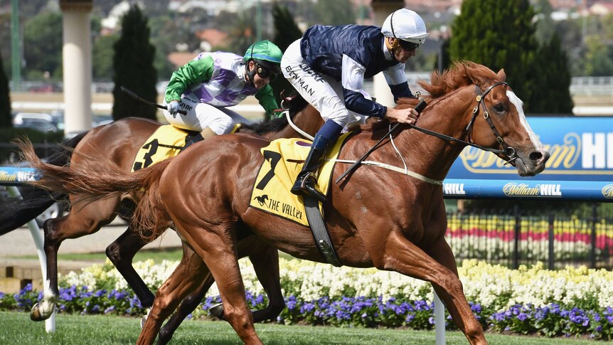 The United States wins Moonee Valley Cup