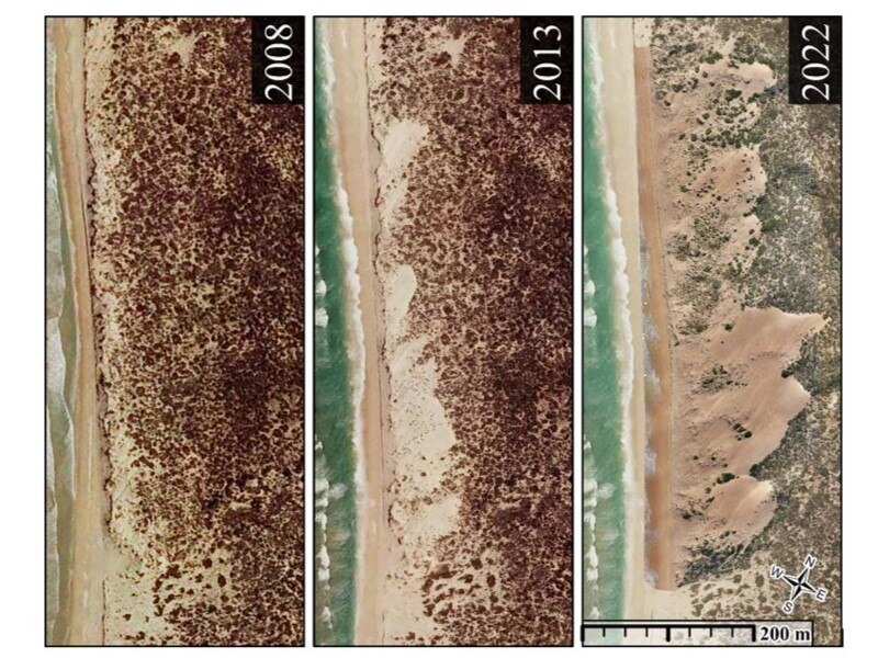 Three photo strips side by side showing the erosion of the beach and dune movement over six years