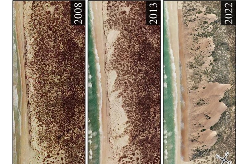 Three photo strips side by side showing the erosion of the beach and dune movement over six years