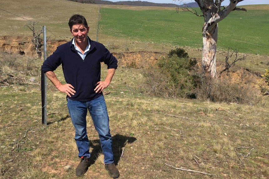 A man with dark hair, wearing jeans and a navy jumping, stands in front of a paddock with his hands on his hips.